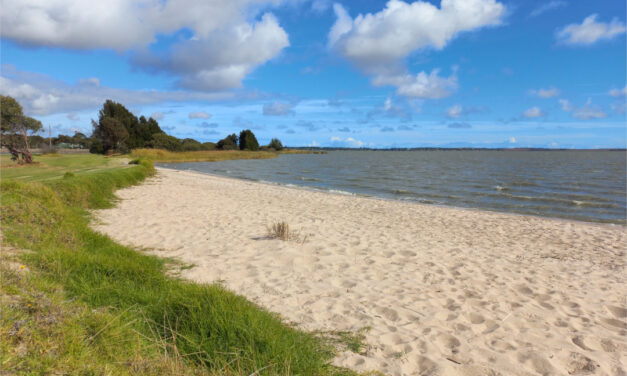 Why Brown’s Beach?