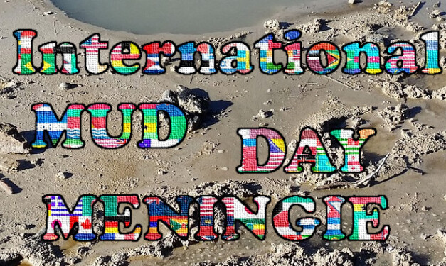 International Mud Day